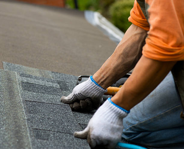 Best Storm Damage Roof Repair  in Valdez, AK