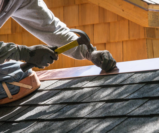 Best Roof Gutter Cleaning  in Valdez, AK